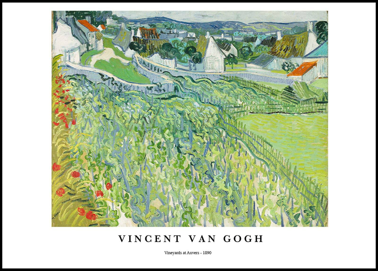 "Vincent Van Gogh - Vineyards at Auvers Poster"