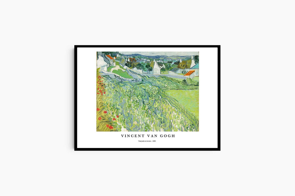 "Vincent Van Gogh - Vineyards at Auvers Poster"