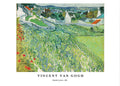 "Vincent Van Gogh - Vineyards at Auvers Poster"