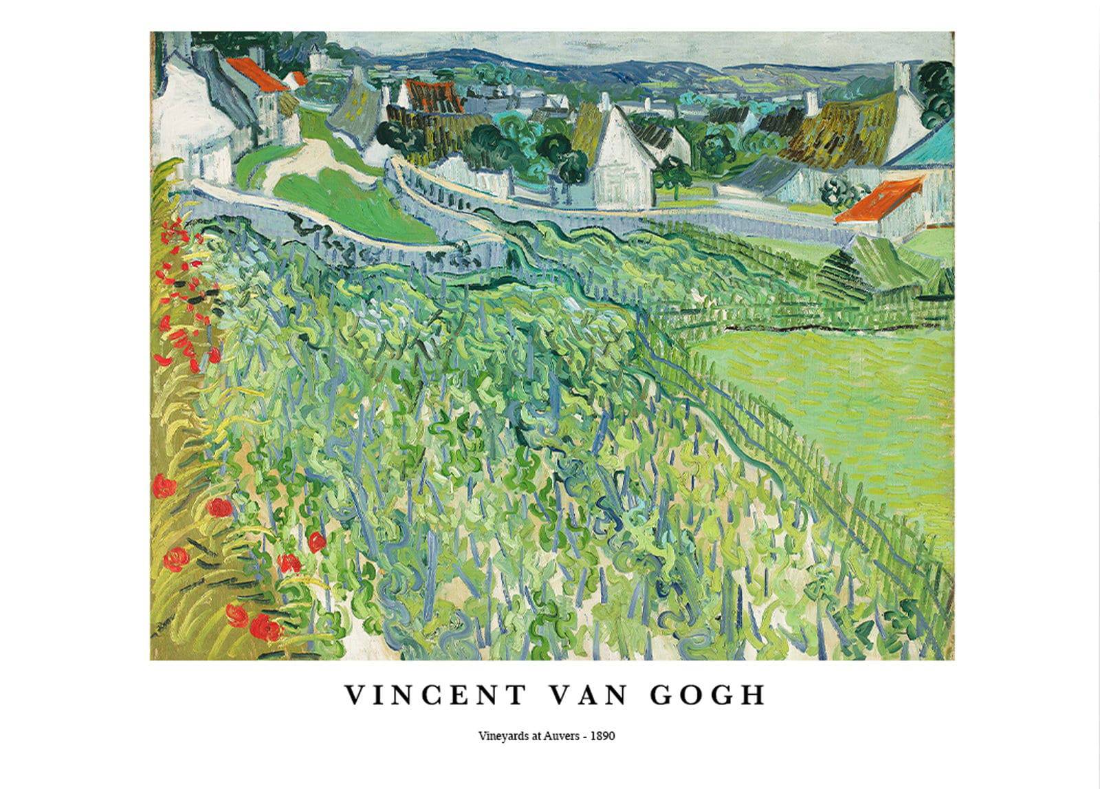 "Vincent Van Gogh - Vineyards at Auvers Poster"