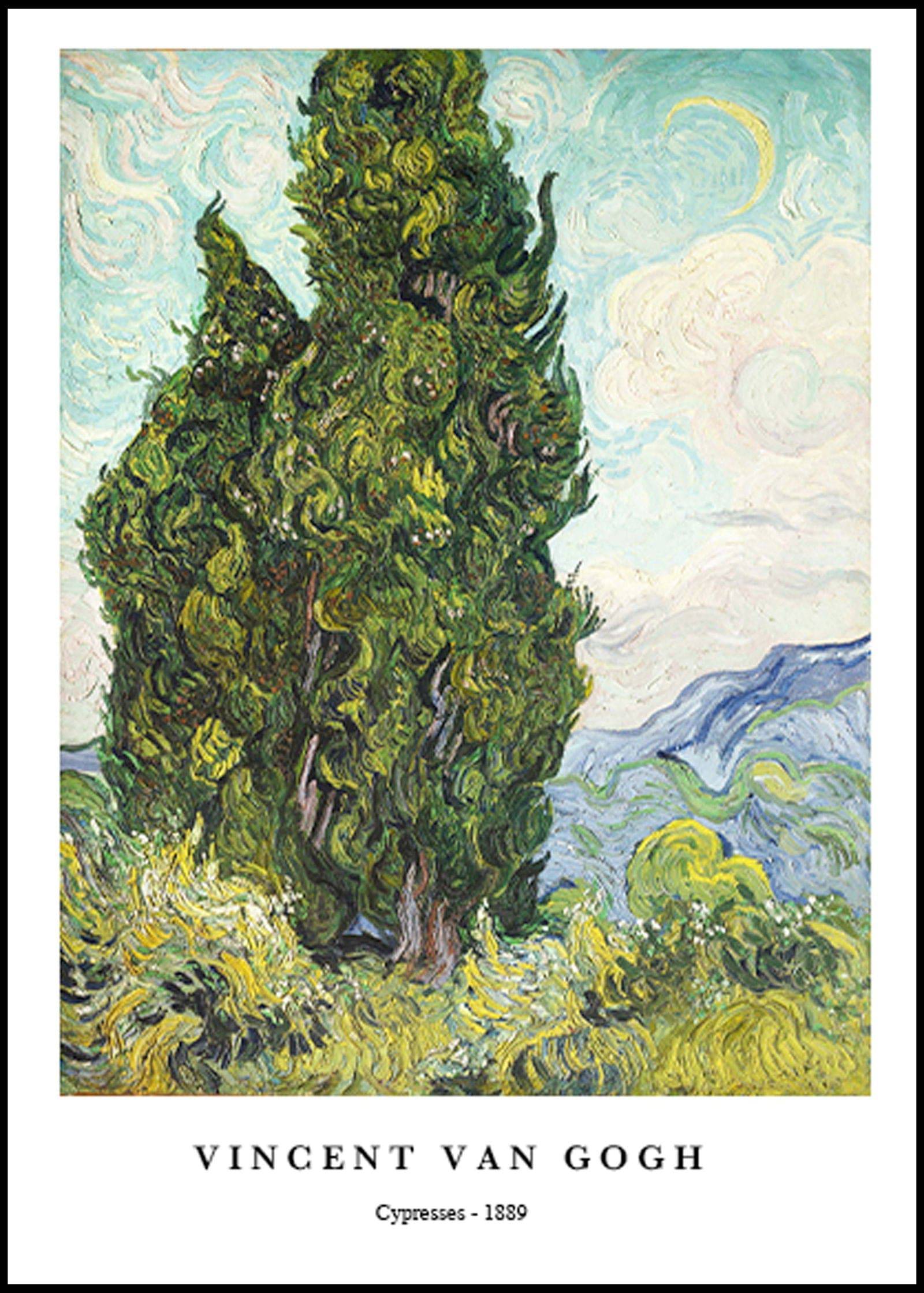 "Vincent Van Gogh - Cypresses Poster"