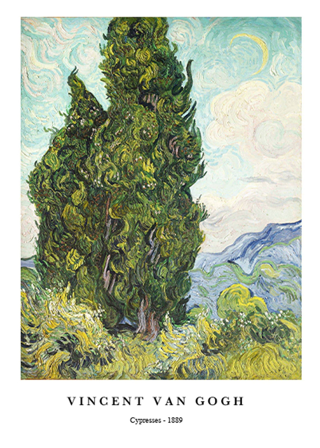 "Vincent Van Gogh - Cypresses Poster"