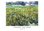 "Vincent Van Gogh - House at Auvers Poster"