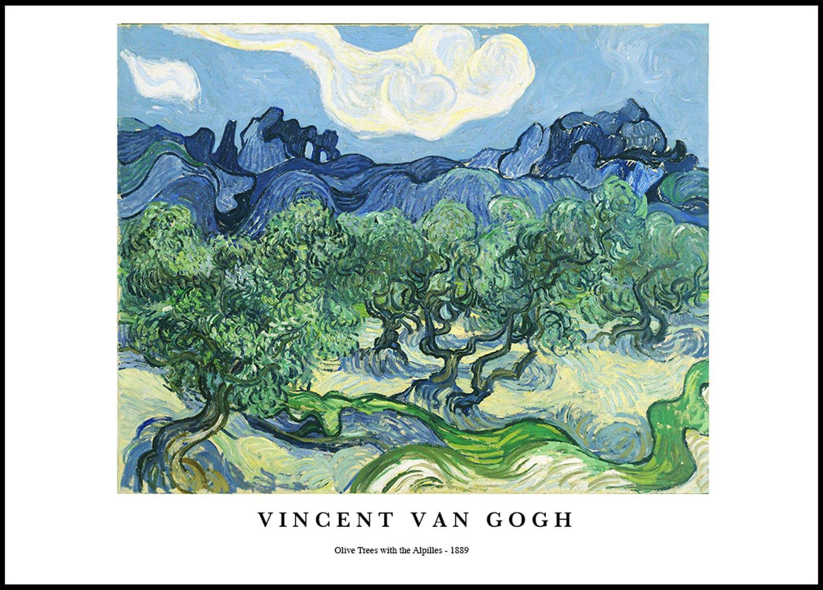 "Vincent Van Gogh - Olive Trees with the Alpilles Poster"