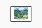 "Vincent Van Gogh - Olive Trees with the Alpilles Poster"