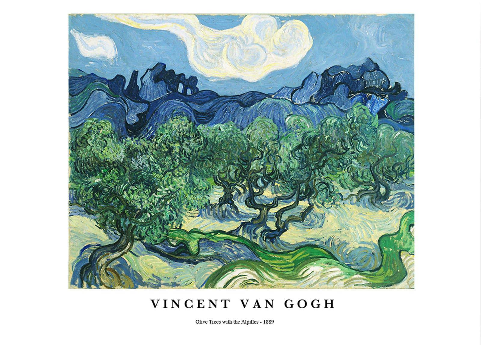 "Vincent Van Gogh - Olive Trees with the Alpilles Poster"