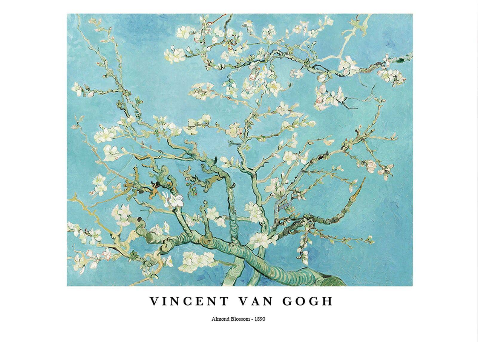 "Vincent Van Gogh - Almond Blossom Poster"