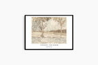 "Vincent Van Gogh - The Road to Tarascon Poster"