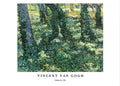"Vincent Van Gogh - Undergrowth Poster"
