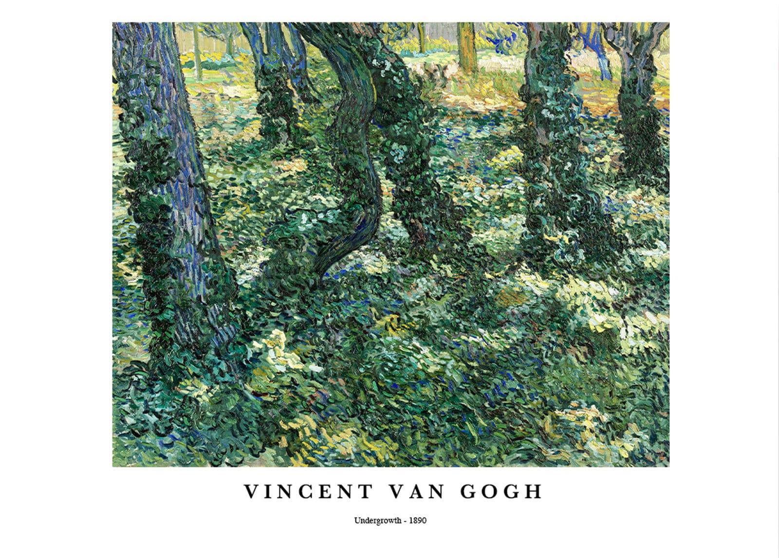 "Vincent Van Gogh - Undergrowth Poster"
