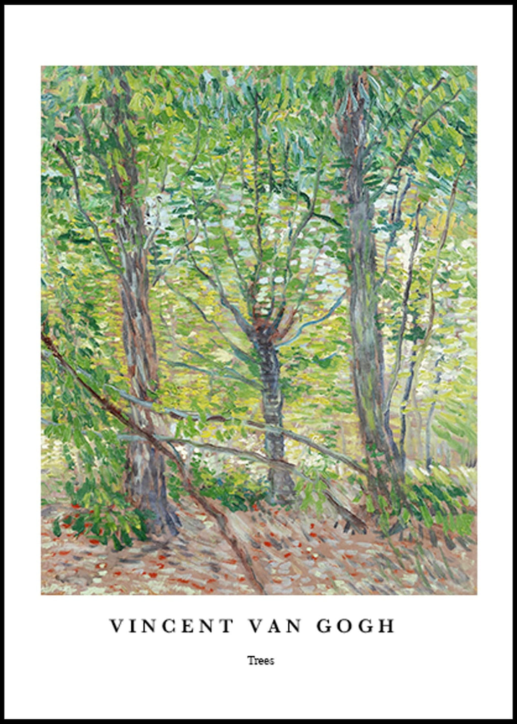 "Vincent Van Gogh - Trees Poster"