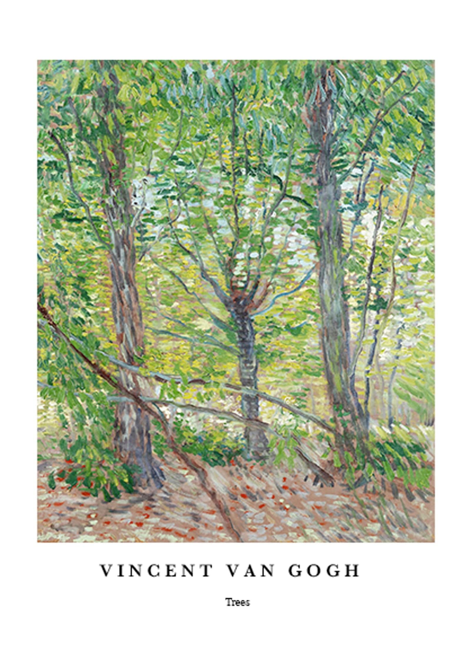 "Vincent Van Gogh - Trees Poster"