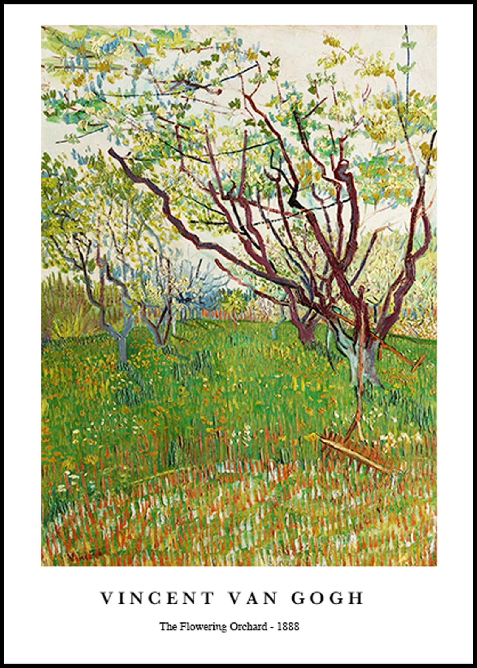 "Vincent Van Gogh - The Flowering Orchard Poster"