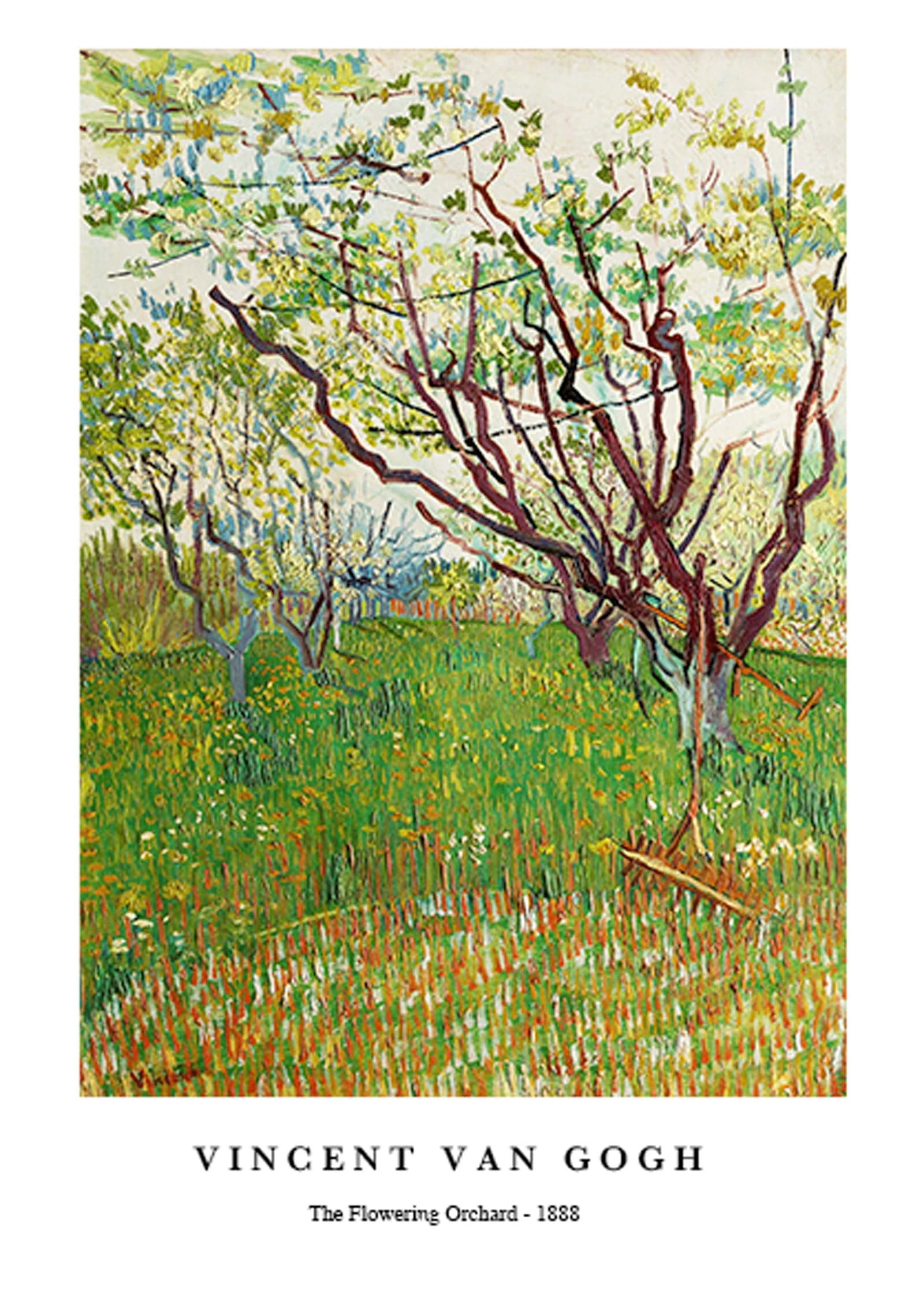 "Vincent Van Gogh - The Flowering Orchard Poster"