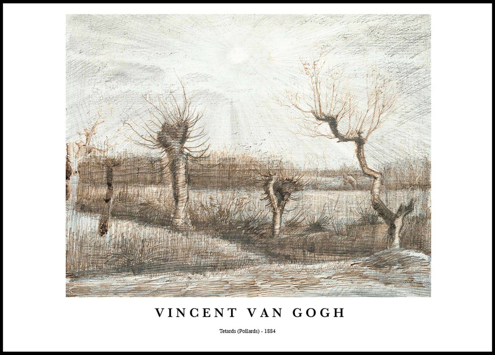 "Vincent Van Gogh - Tetards Poster"
