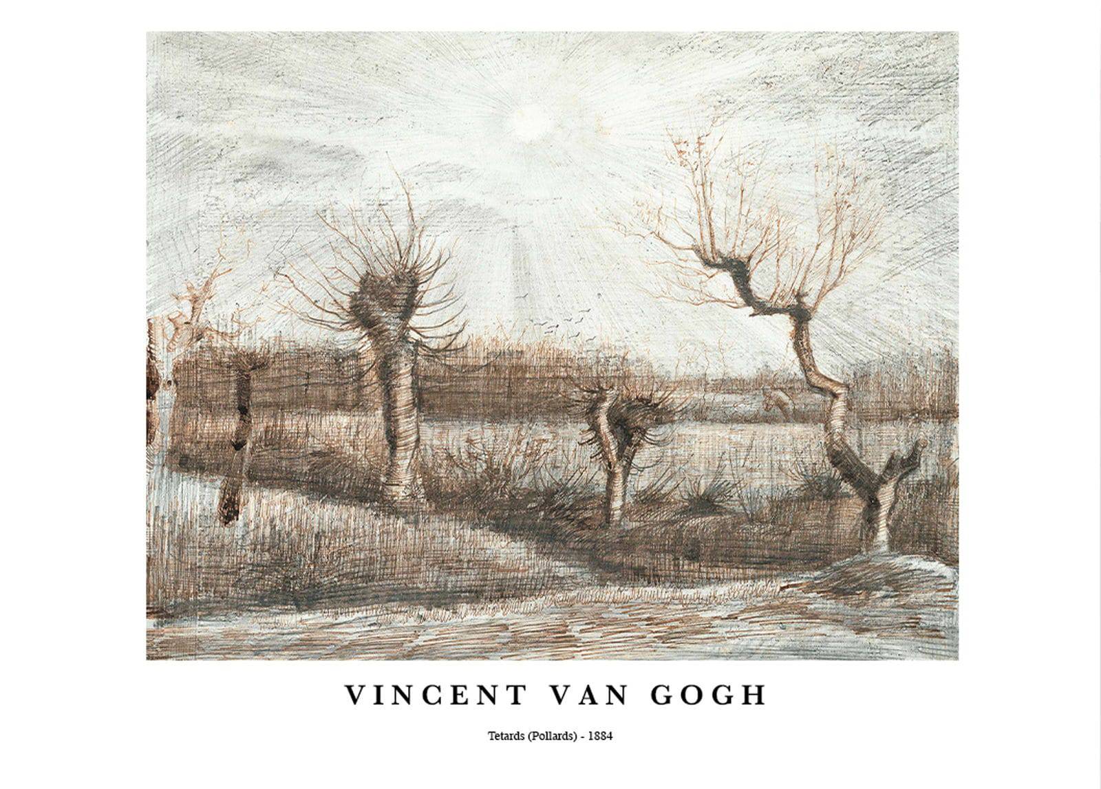 "Vincent Van Gogh - Tetards Poster"