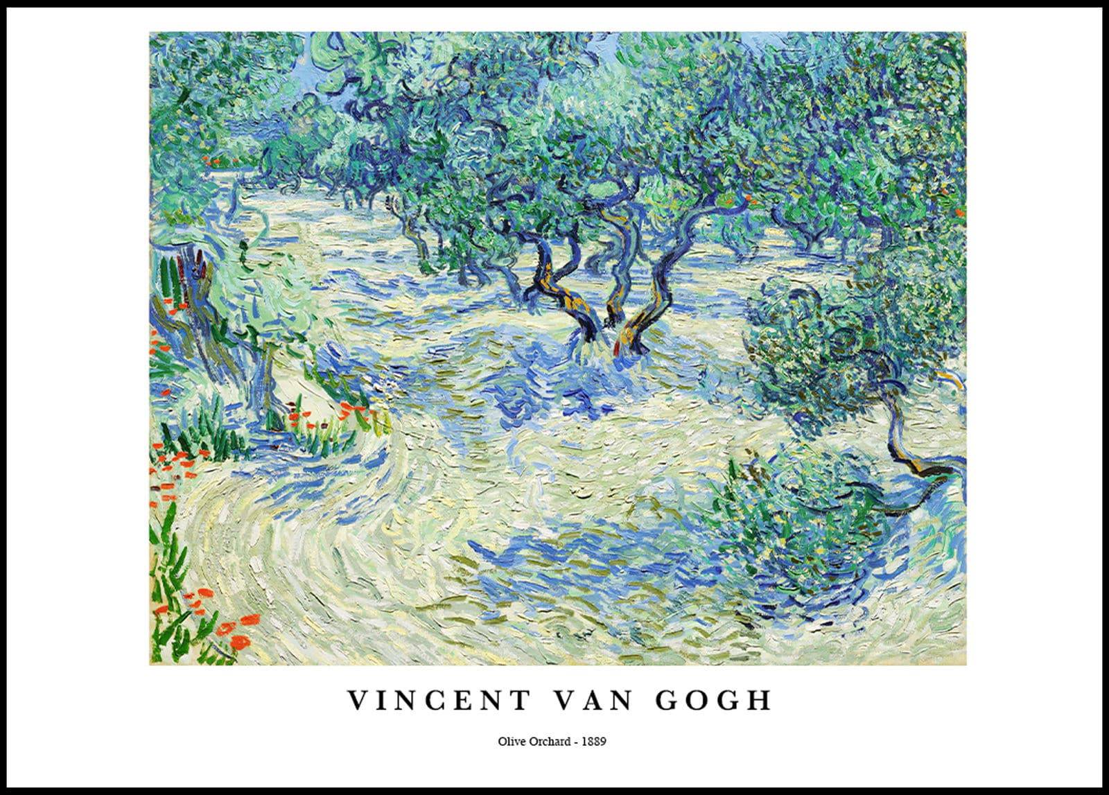 "Vincent Van Gogh - Olive Orchard Poster"