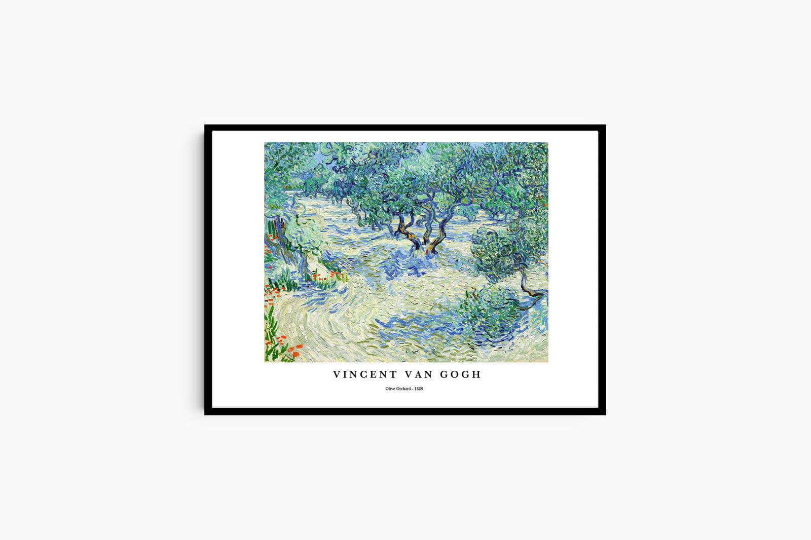 "Vincent Van Gogh - Olive Orchard Poster"