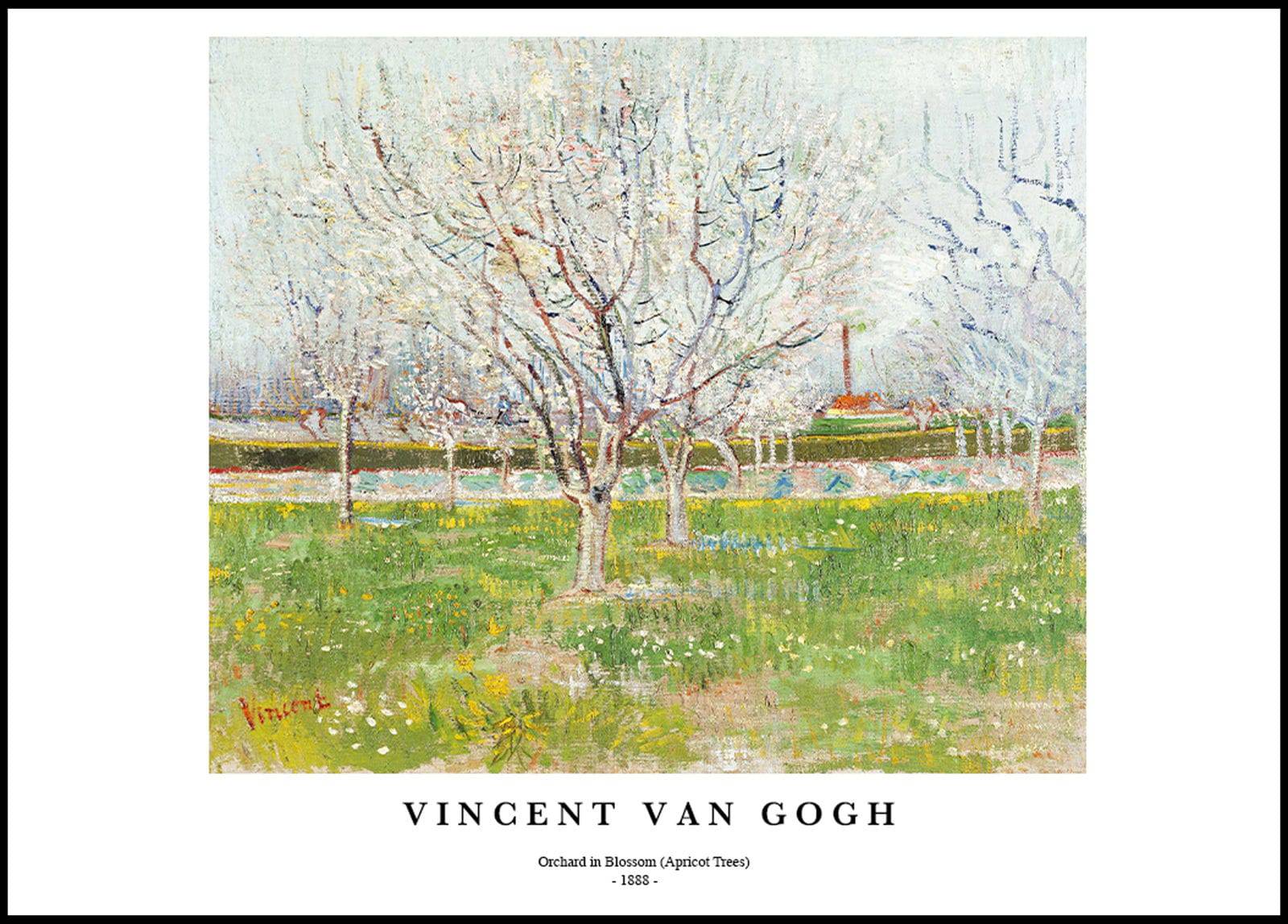 "Vincent Van Gogh - Orchard in Blossom Poster"
