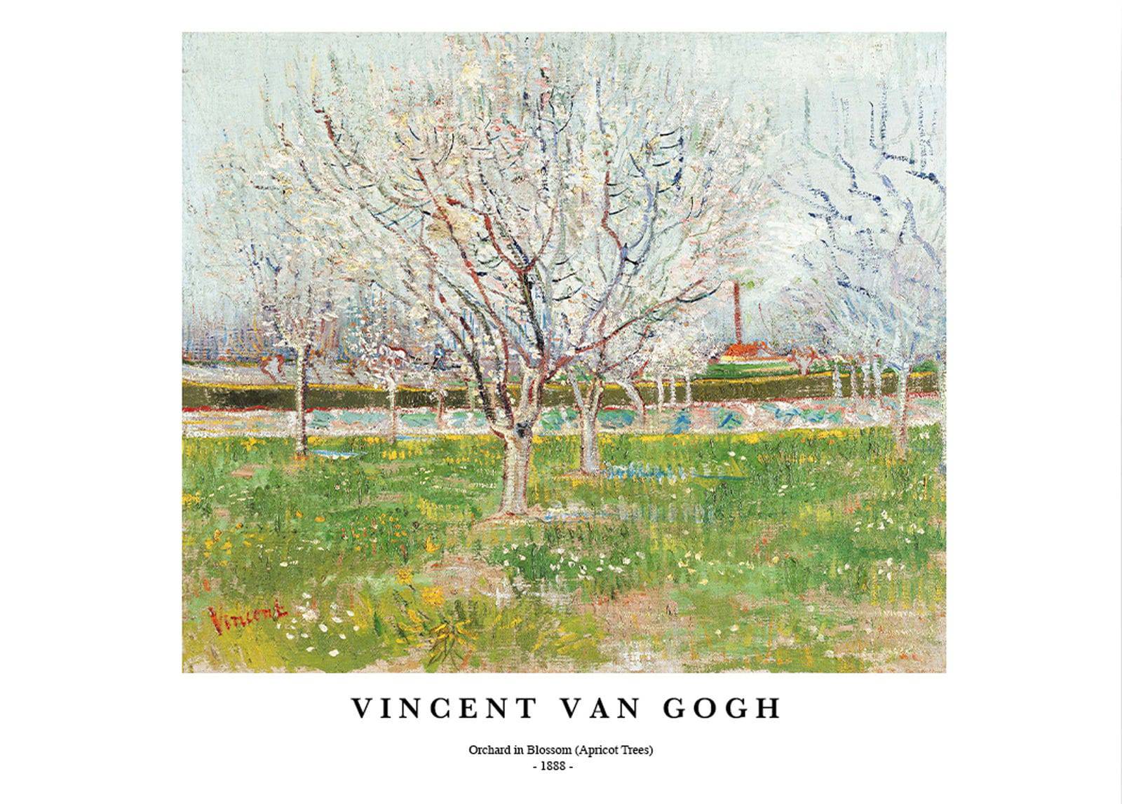 "Vincent Van Gogh - Orchard in Blossom Poster"