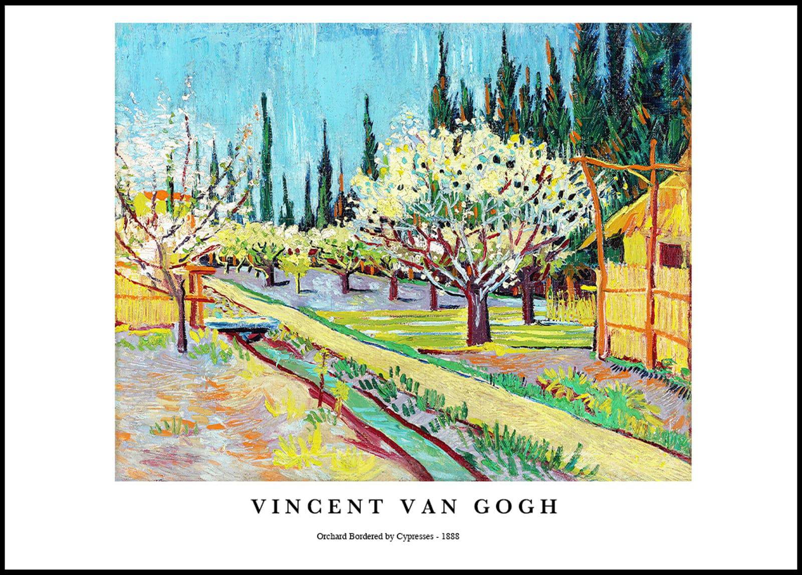 "Vincent Van Gogh - Orchard Bordered by Cypresses Poster"