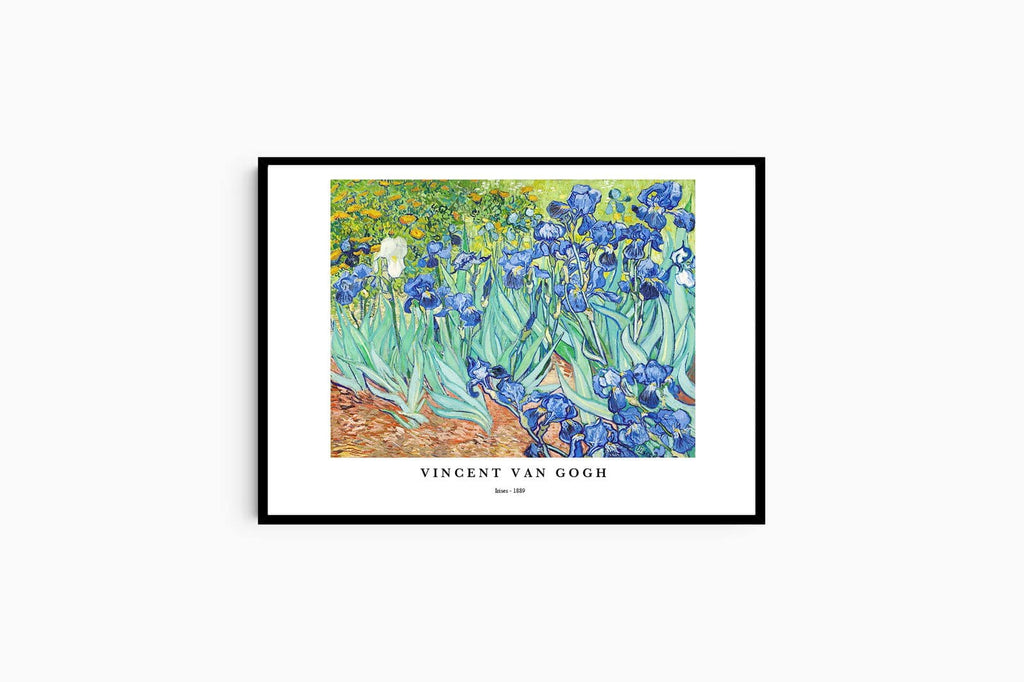 "Vincent Van Gogh - Irises Poster"