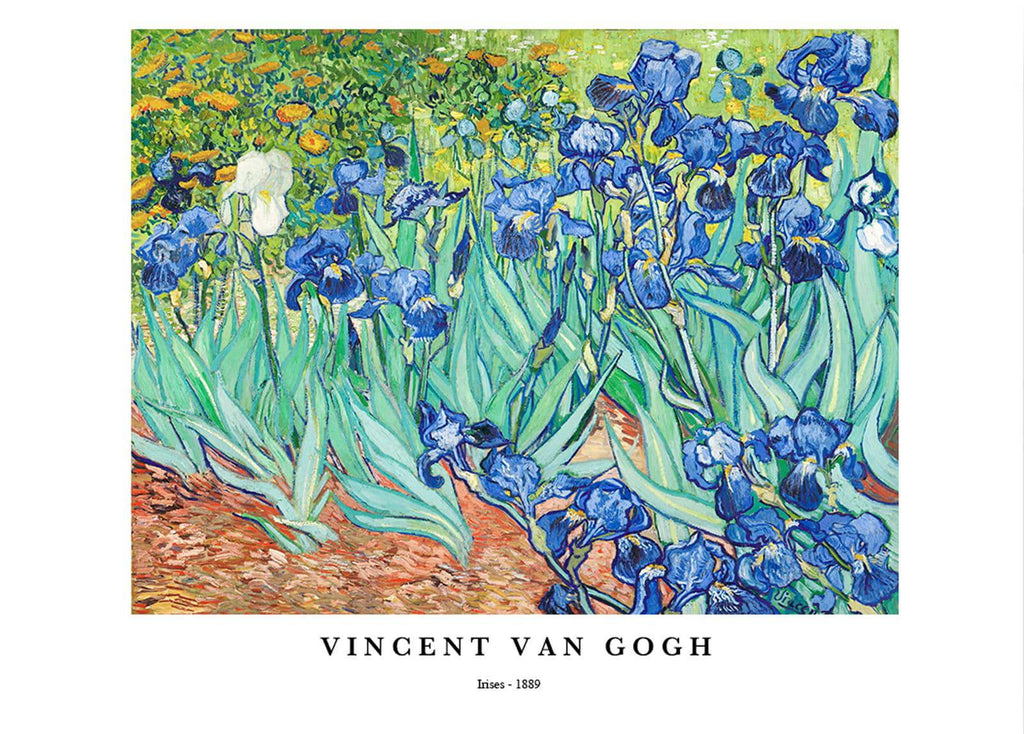 "Vincent Van Gogh - Irises Poster"