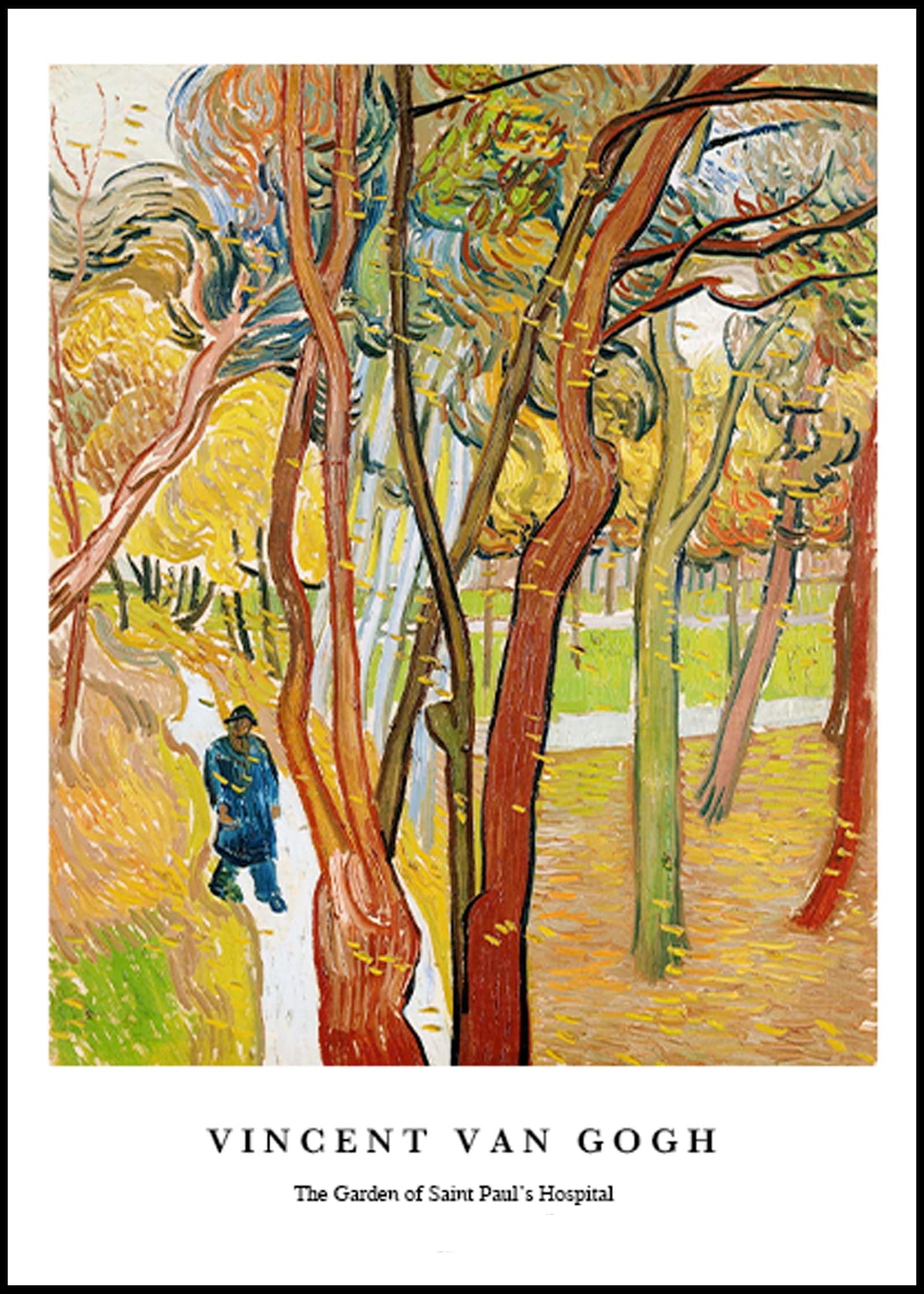 "Vincent Van Gogh - The Garden of Saint Paul's Hospital Poster"