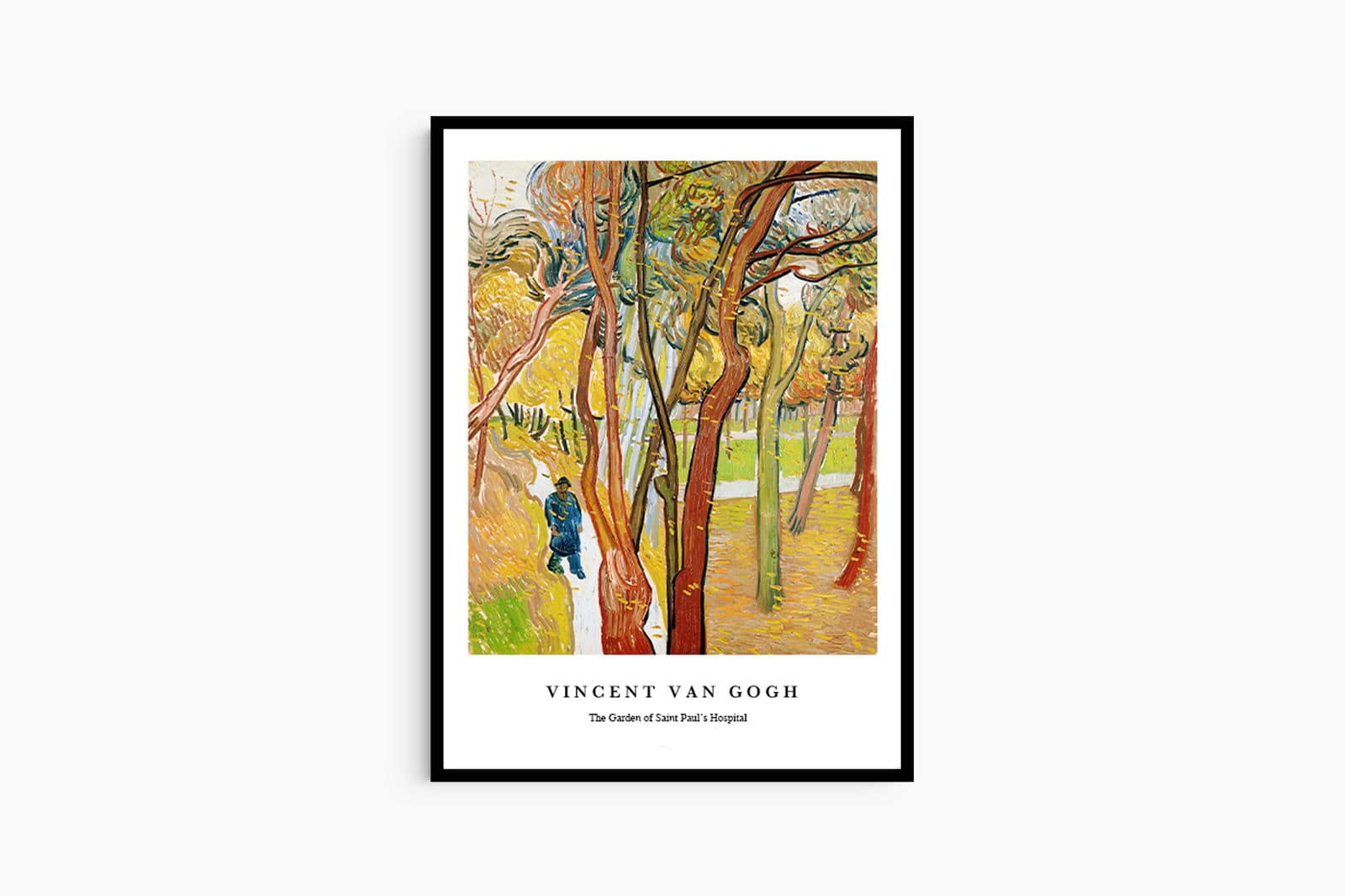 "Vincent Van Gogh - The Garden of Saint Paul's Hospital Poster"