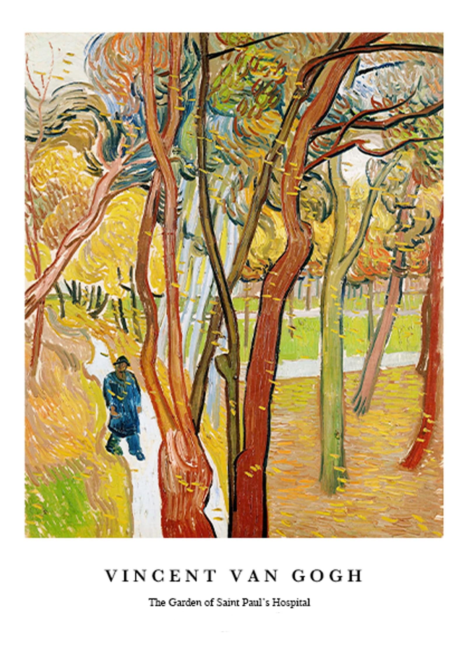 "Vincent Van Gogh - The Garden of Saint Paul's Hospital Poster"