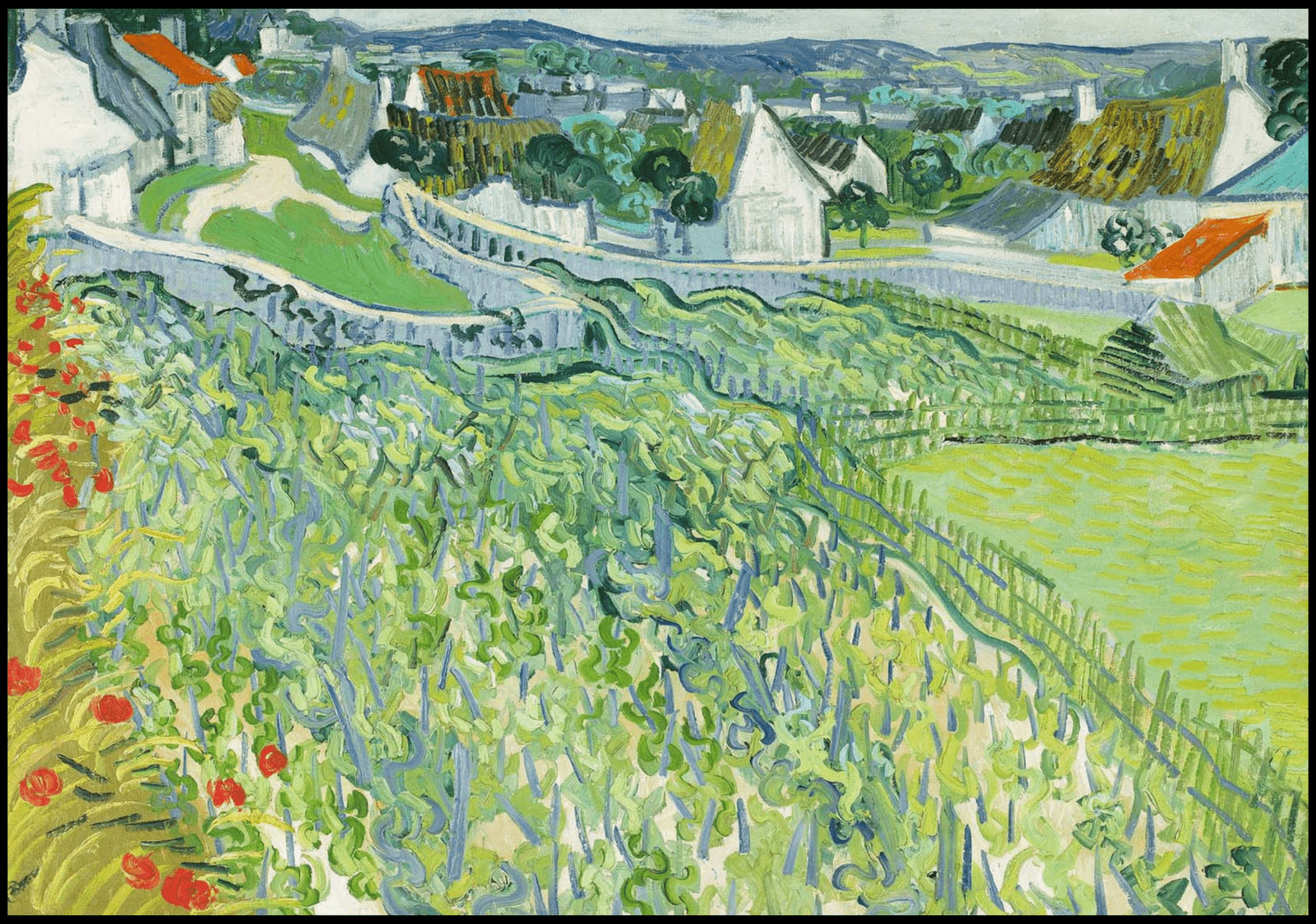 "Vincent Van Gogh - Vineyards at Auvers"