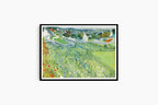 "Vincent Van Gogh - Vineyards at Auvers"