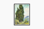 "Vincent Van Gogh - Cypresses"