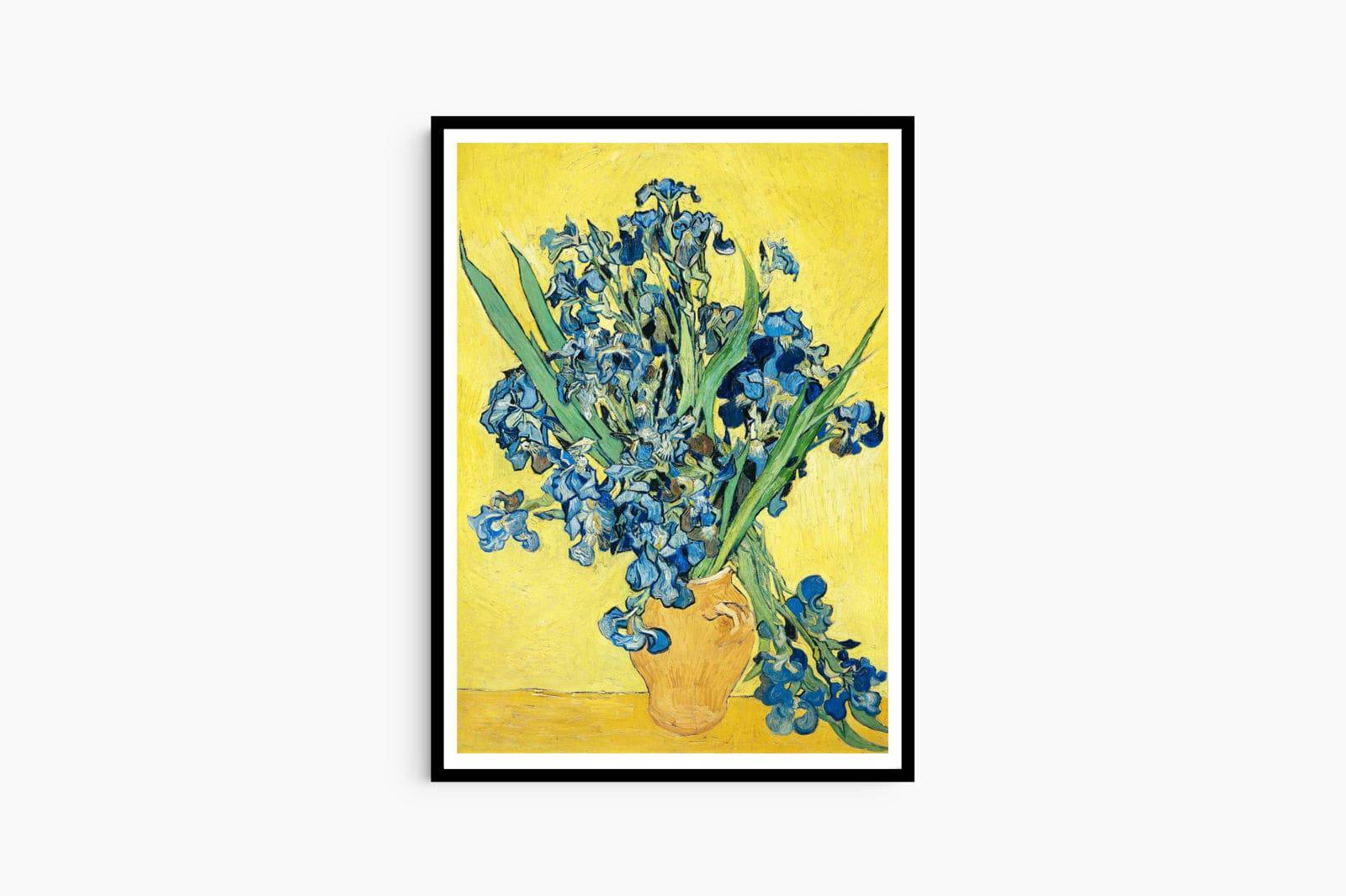 "Vincent Van Gogh - Irises"