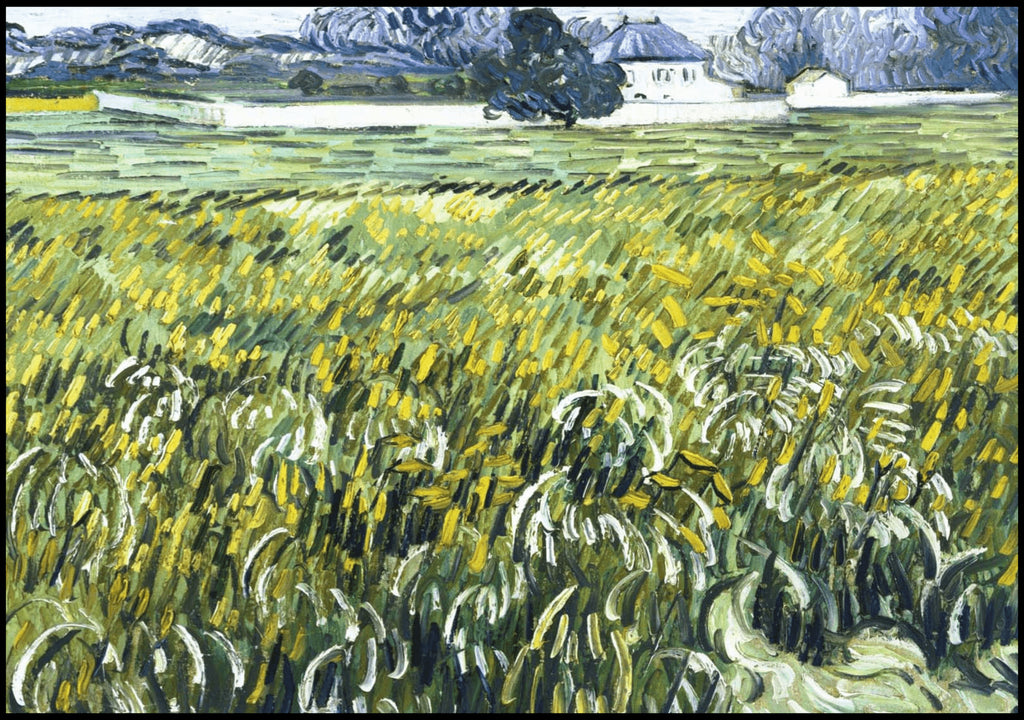 "Vincent Van Gogh - Wheat Field at Auvers with White House"