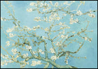 "Vincent Van Gogh - Almond Blossom"