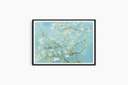 "Vincent Van Gogh - Almond Blossom"