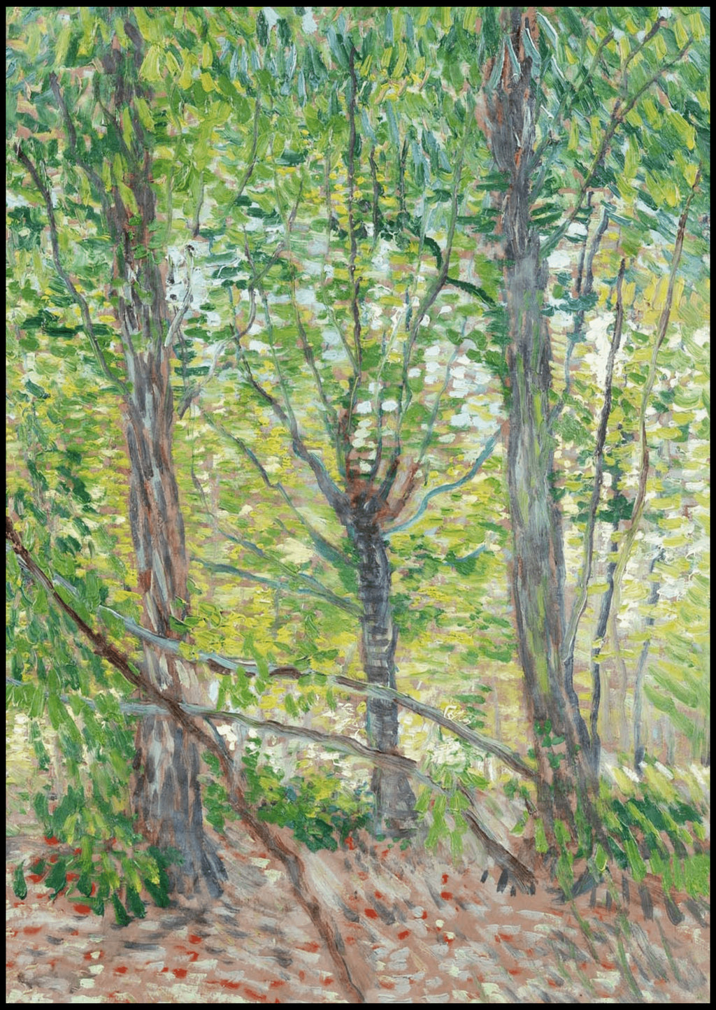 "Vincent Van Gogh - Trees"