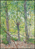 "Vincent Van Gogh - Trees"
