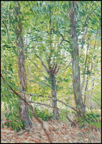"Vincent Van Gogh - Trees"