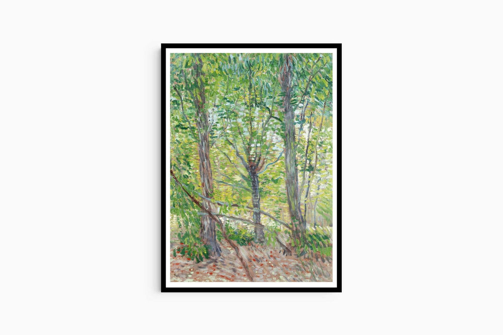 "Vincent Van Gogh - Trees"