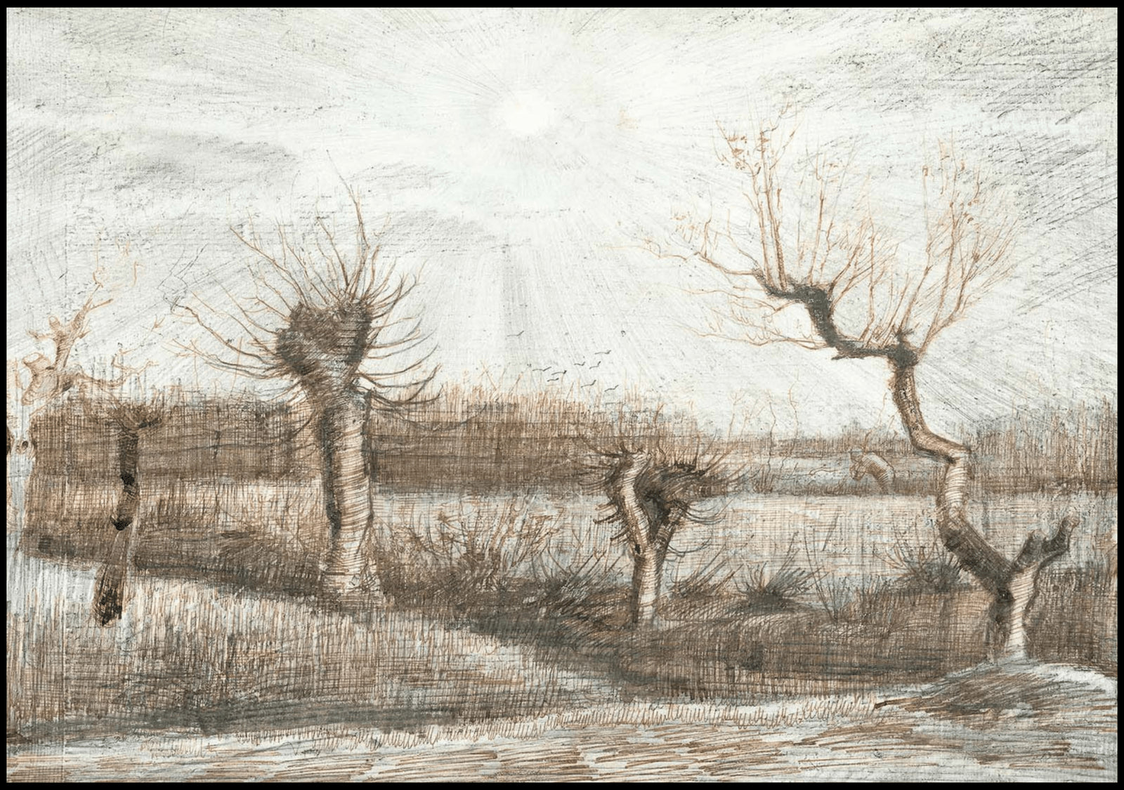 "Vincent Van Gogh - Tetards 'Pollards'"