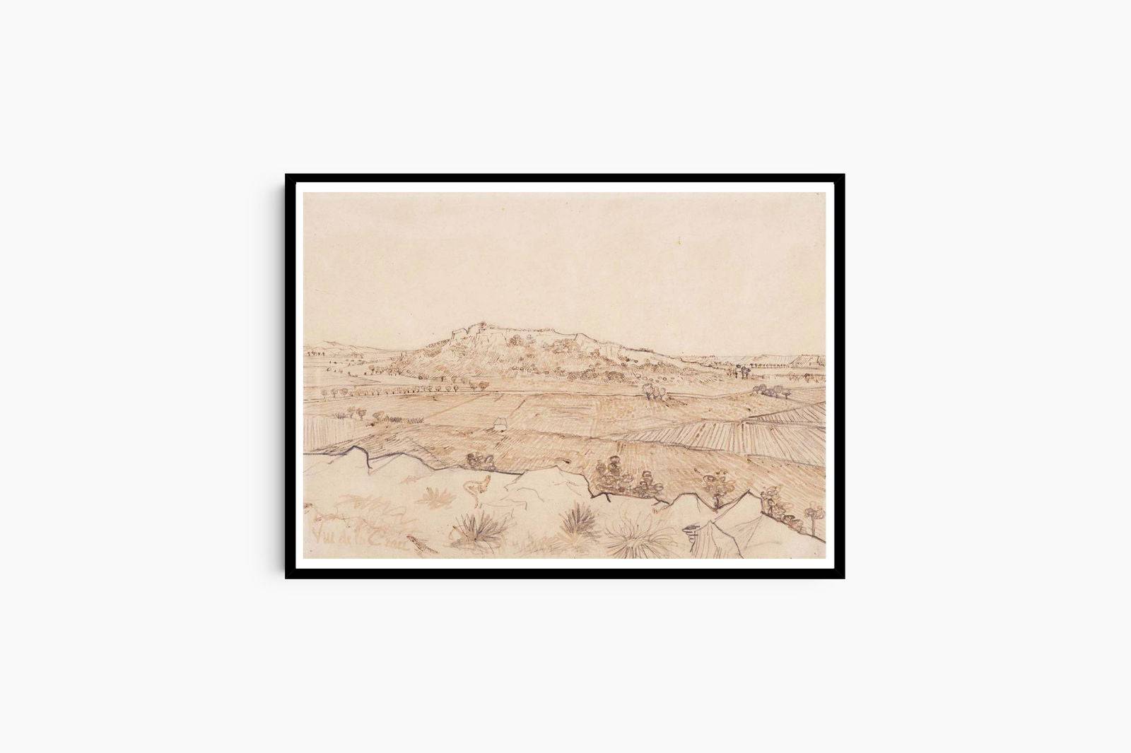 "Vincent Van Gogh - The Plain of La Crau"