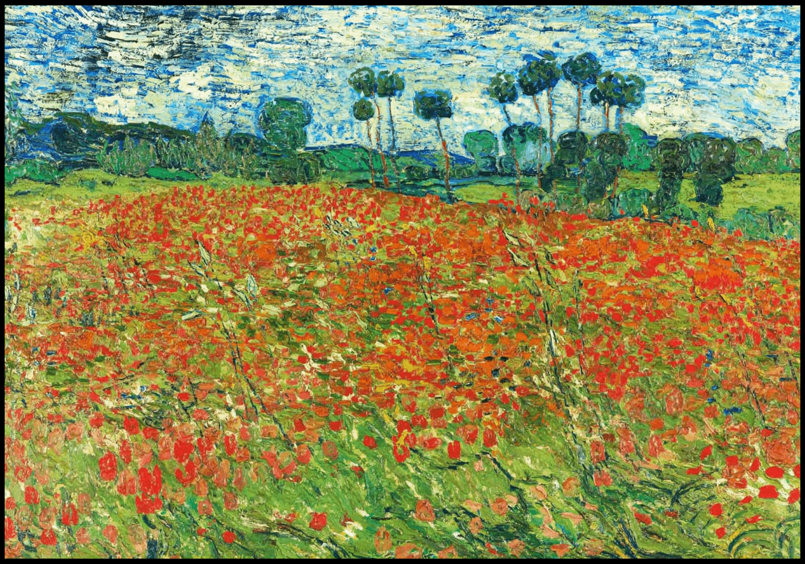 "Vincent Van Gogh - Poppy Field"