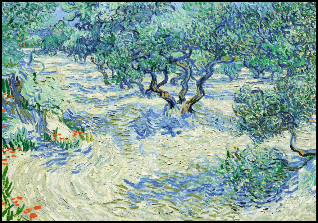 "Vincent Van Gogh - Olive Orchard"