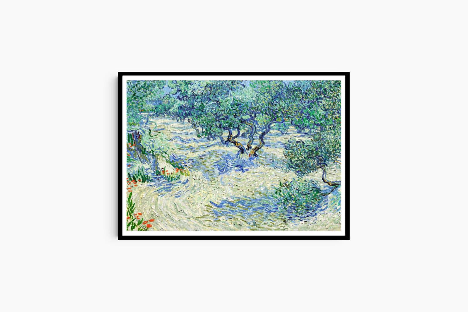 "Vincent Van Gogh - Olive Orchard"