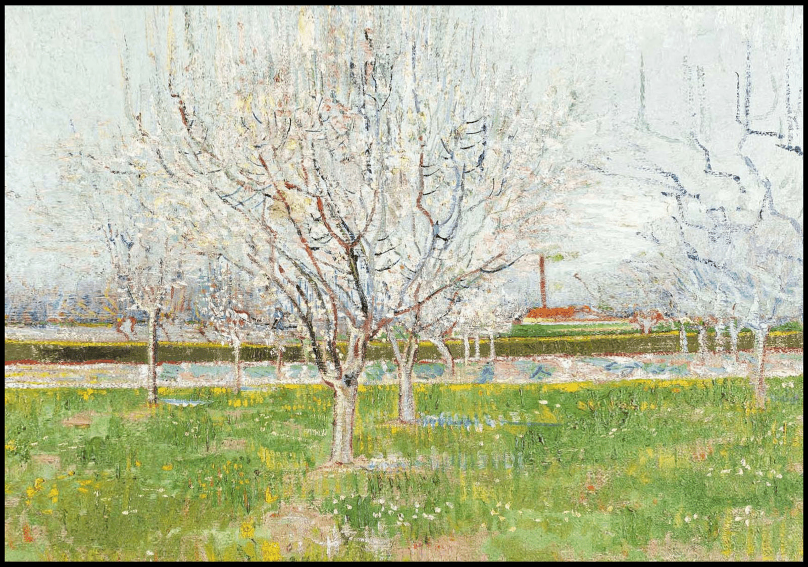 "Vincent Van Gogh - Orchard in Blossom"