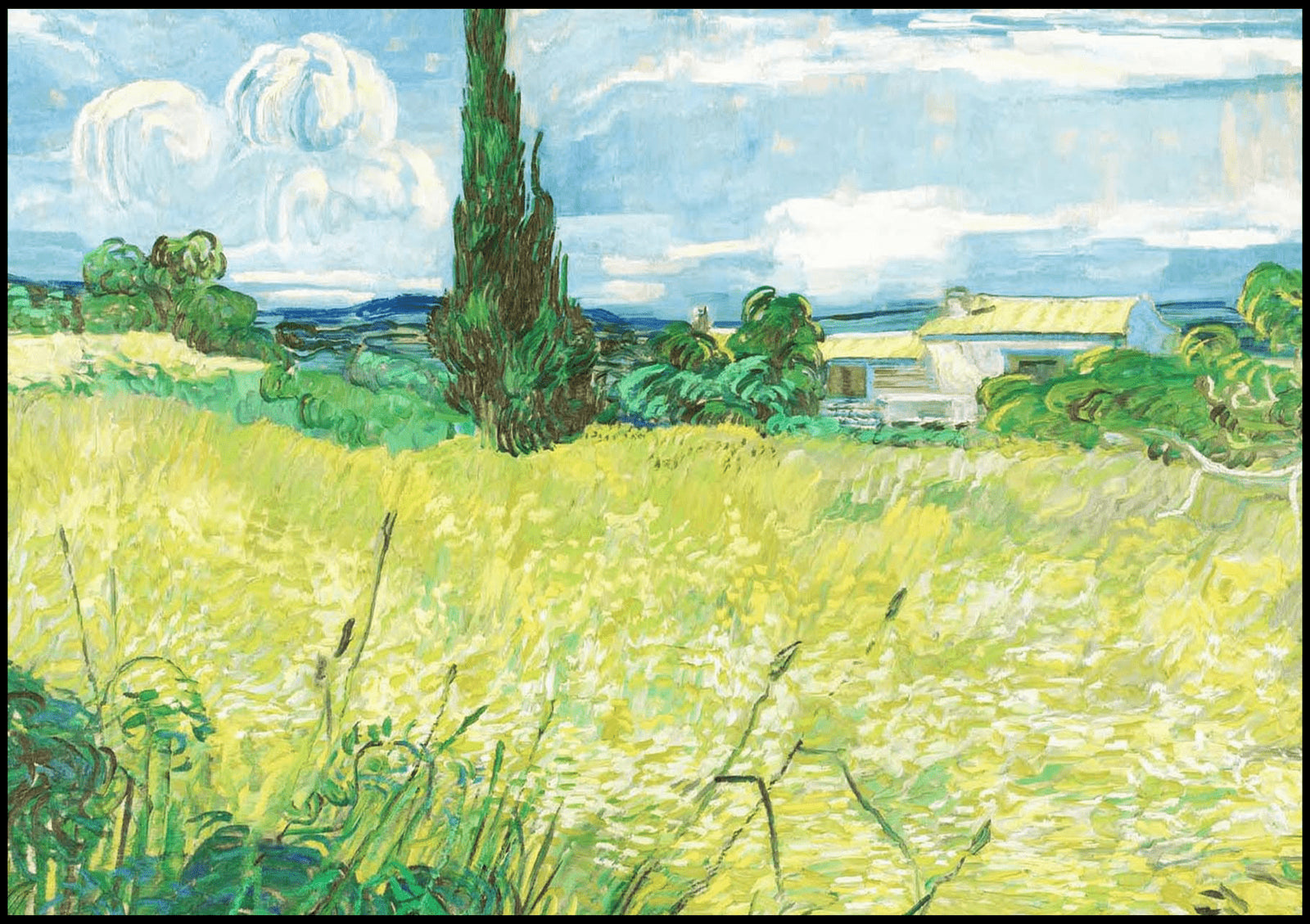 "Vincent Van Gogh - Green Field"