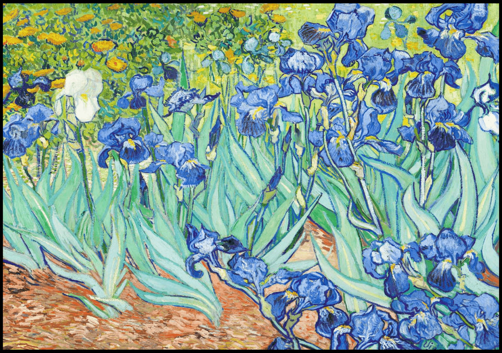 "Vincent Van Gogh - Irises"
