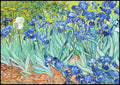 "Vincent Van Gogh - Irises"
